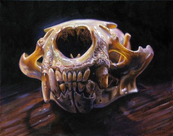 Christian Perez - sea otter skull 